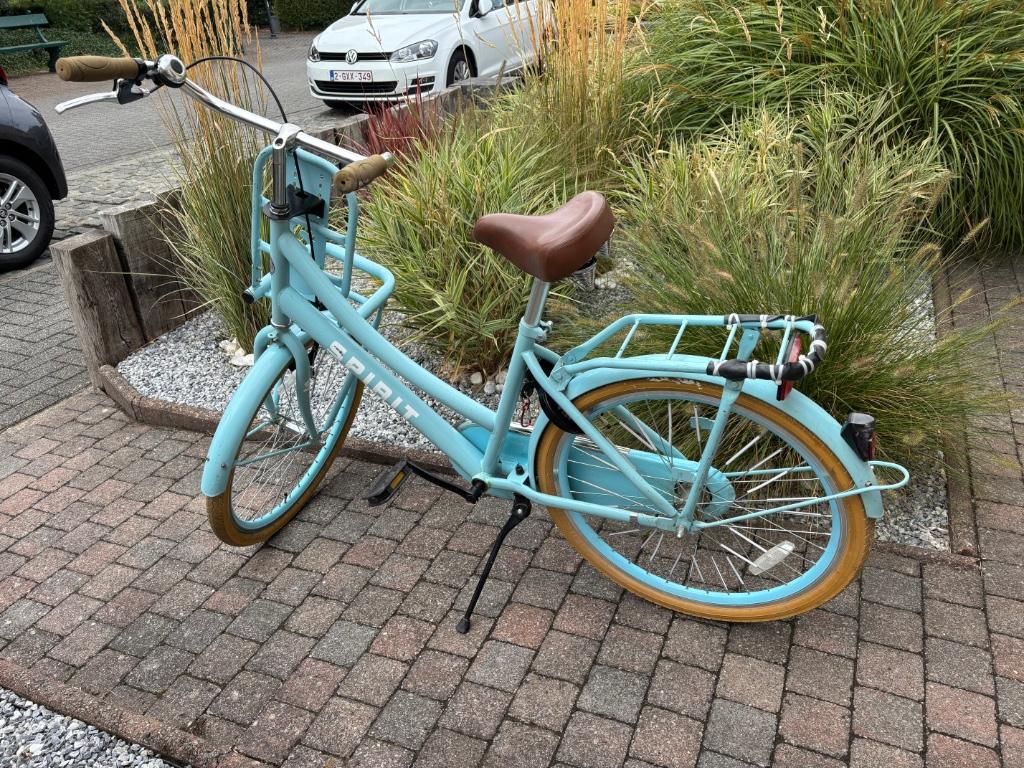 Vélo hollandais cargo fille, Enlèvement, Utilisé, 1 enfant, Autres marques