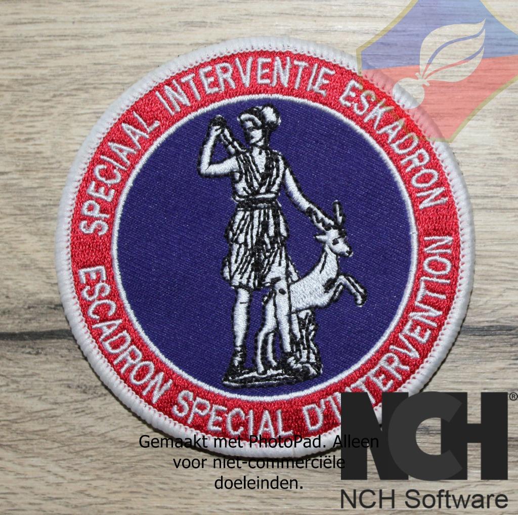 BADGE ESI DU SITE DE GENDARMERIE + PRÉSENTOIR, Collections, Envoi, Gendarmerie, Emblème ou Badge