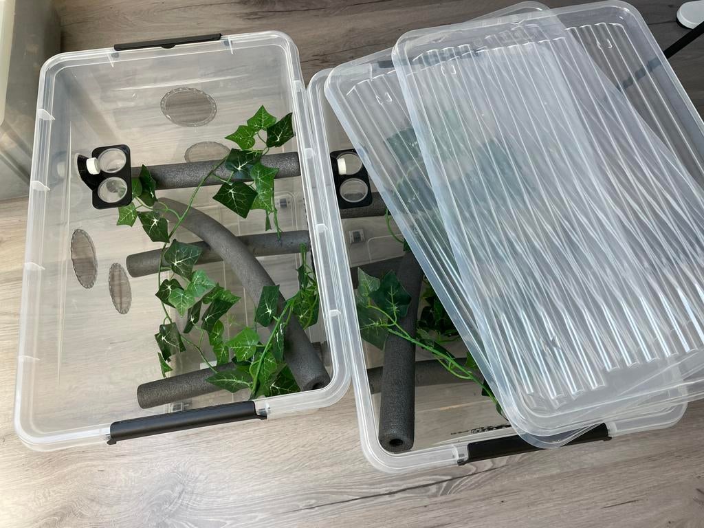 Terrarium bak gekko’s ingericht, Dieren en Toebehoren, Ophalen, Zo goed als nieuw