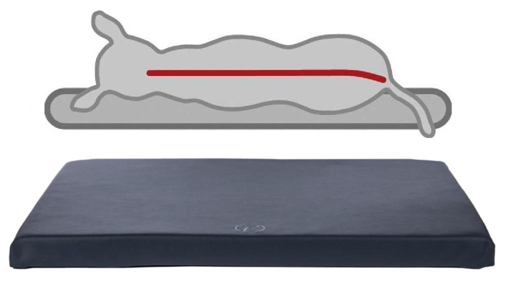 Orthopedische Hondenmatras Milton M Antraciet, Ophalen, Nieuw, Leer