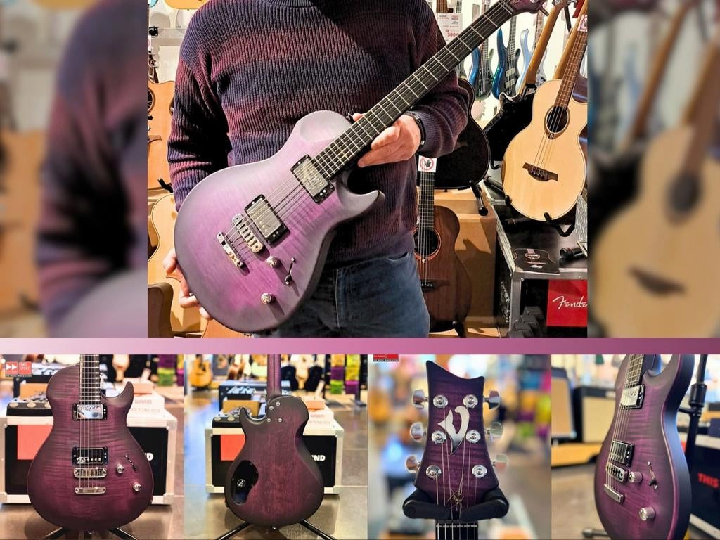 Guitare Vigier gv wood