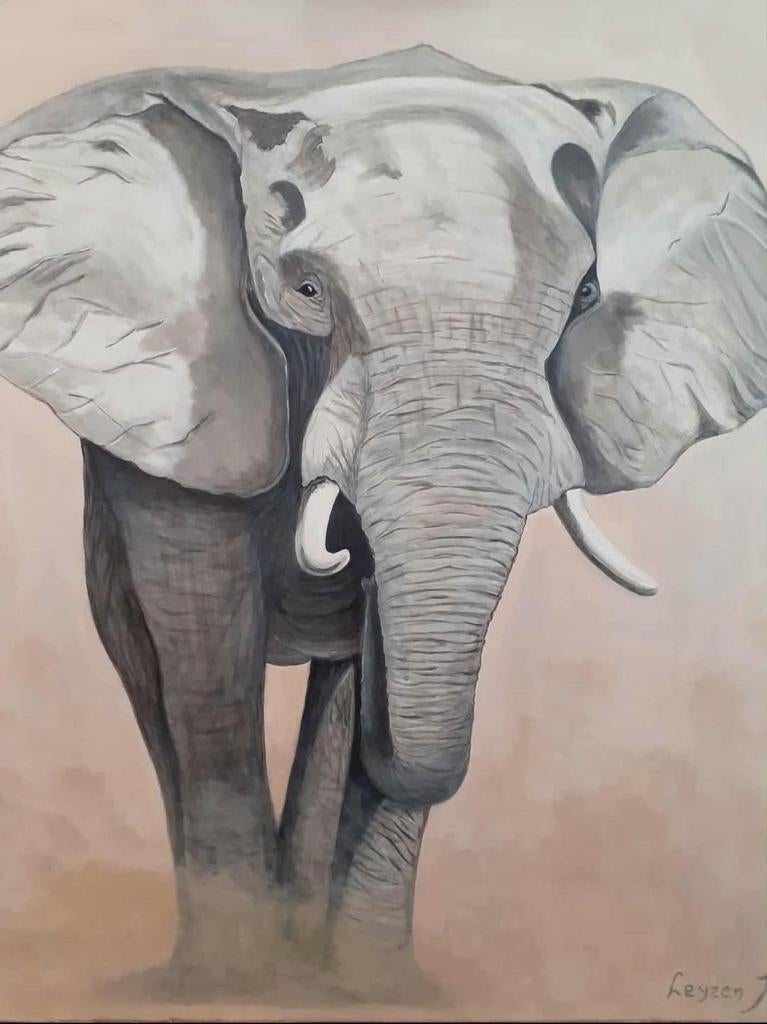 Mooi schilderij olifant 1 meter X 1 meter, Ophalen