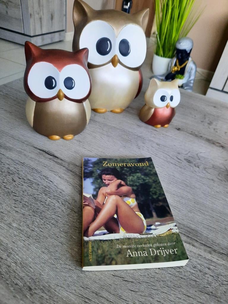 Anna drijver - zomeravond, Ophalen of Verzenden, Nieuw