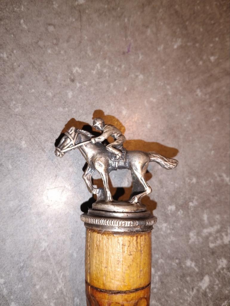 Canne cheval / jockey