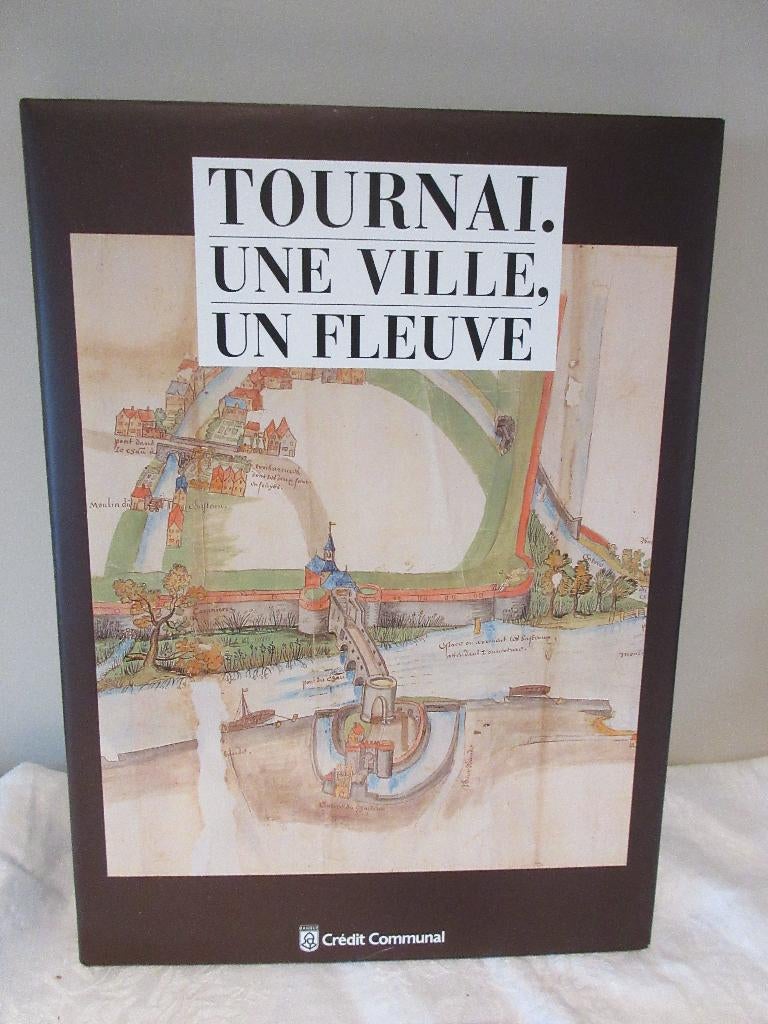 Livre Tournai, une ville, un fleuve. XVIe-XVIIe siècle, Livres, Histoire nationale, Enlèvement