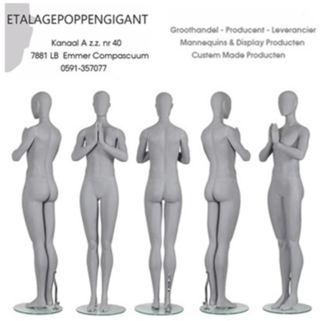 Nieuw Mannequins I Nieuwe Collectie I Semi Abstract I EPG, Nieuw, Ophalen of Verzenden, Accessoires, Grijs