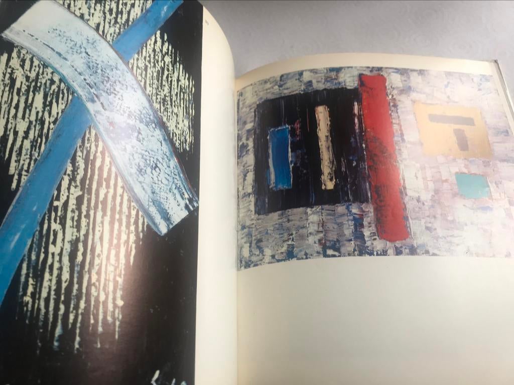 Elie Borgrave peintures 100pag, Ophalen of Verzenden, Zo goed als nieuw, Schilder- en Tekenkunst