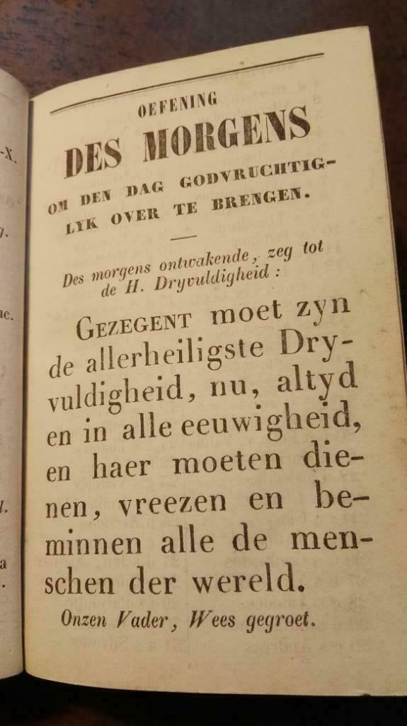 Palmhof Gebedsboek 1863 voor SLECHTZIENDEN, Ophalen of Verzenden