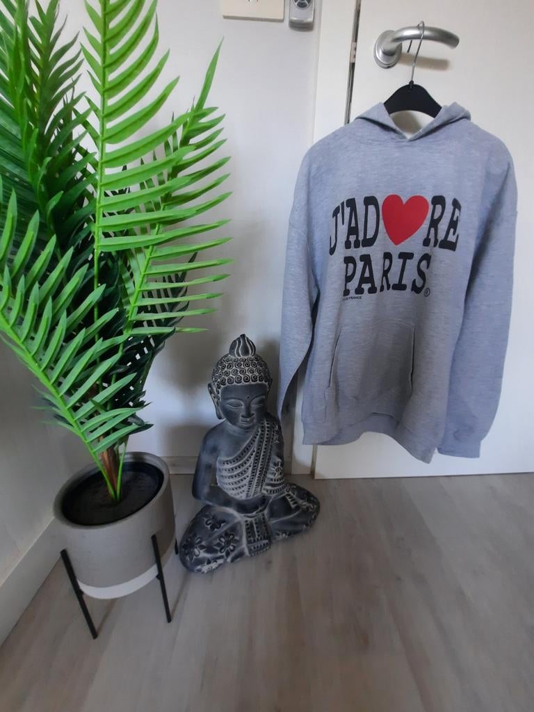 Hoodie J'adore Paris maat M, Ophalen of Verzenden, Maat 38/40 (M)