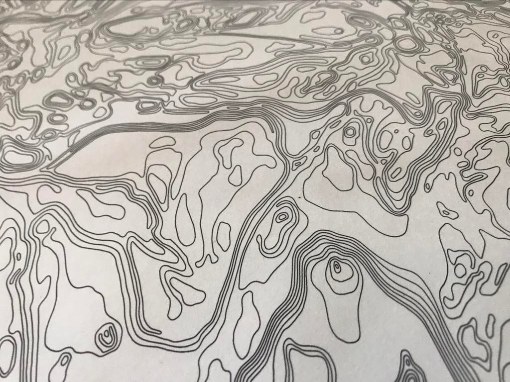 Nick Ervinck groot formaat Sculpturen 240pag, Ophalen of Verzenden, Zo goed als nieuw, Beeldhouwkunst