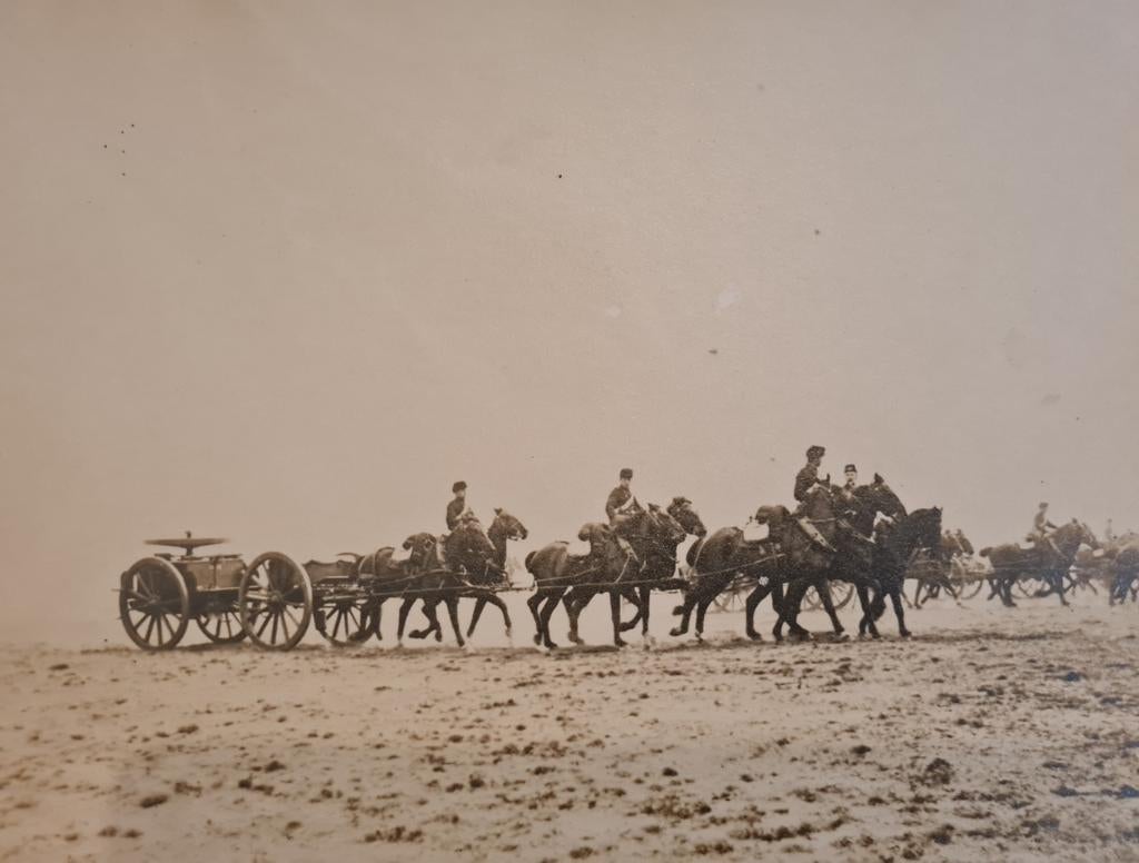 Grote historische foto gesigneerd door Belgian Army Cavalier, Ophalen of Verzenden