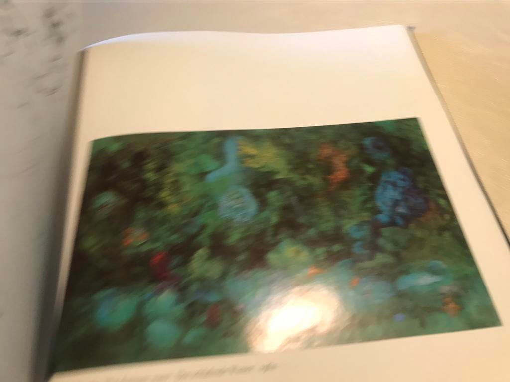 Leonor Fini Peintures Dessins 220pages grand aperçu, Enlèvement ou Envoi, Comme neuf, Peinture et dessin
