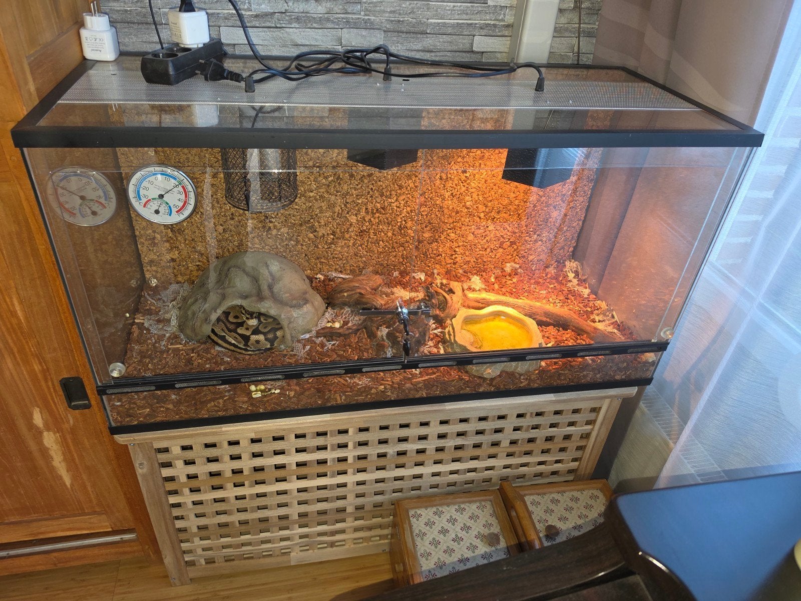 Konings python + terrarium., Ophalen