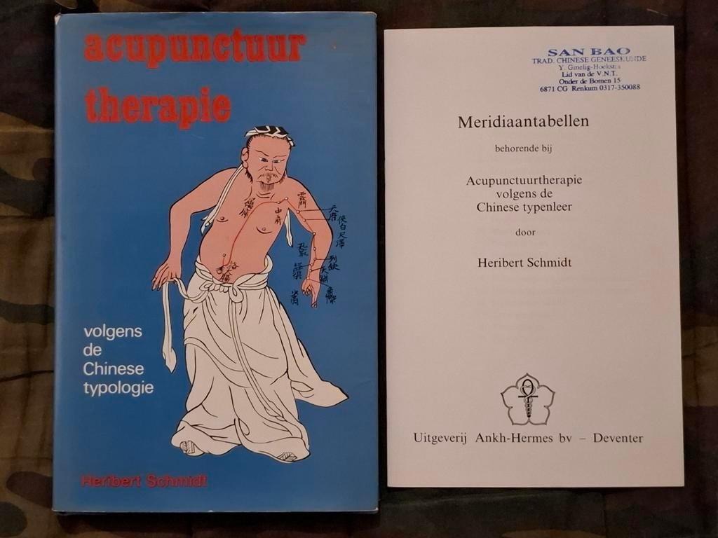 Acupunctuur Therapie, Livres, Santé, Diététique & Alimentation, Enlèvement ou Envoi, Utilisé, Santé et Condition physique