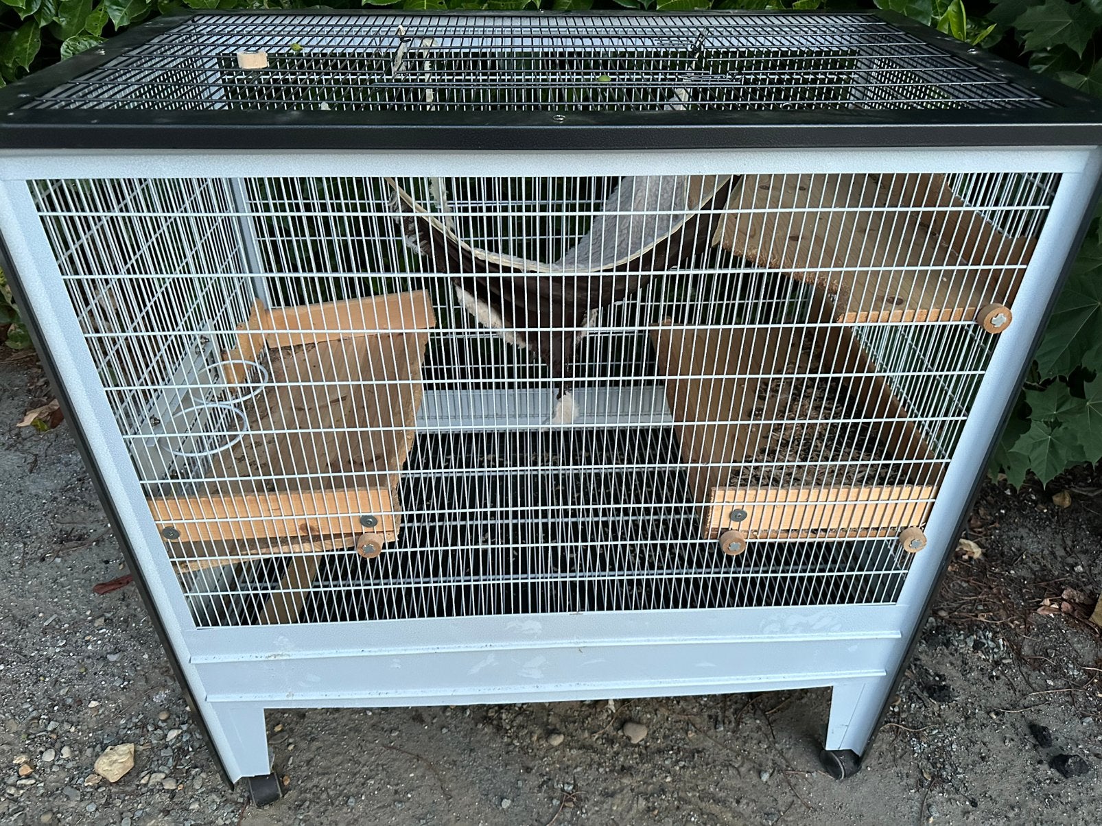 Knaagdierenkooi, Dieren en Toebehoren, Ophalen, Zo goed als nieuw, Kooi, Chinchilla