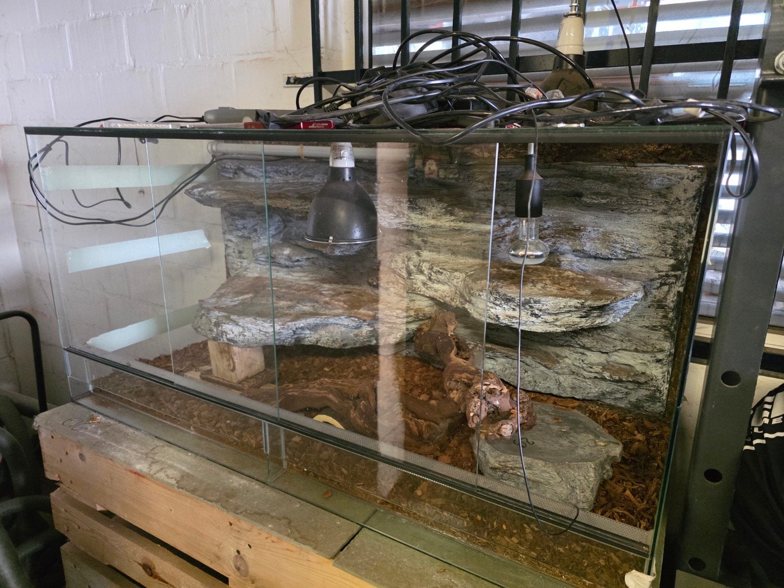 Vivarium complet pour reptile, Enlèvement, Comme neuf, Hamster