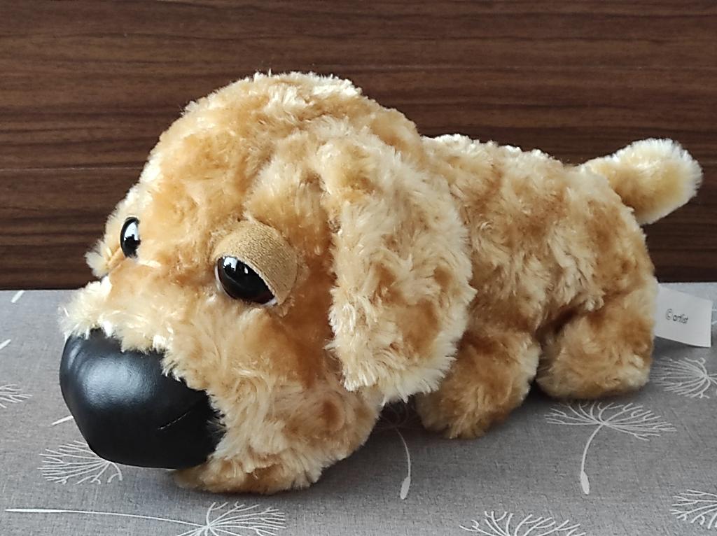 knuffel hond, Kinderen en Baby's, Speelgoed | Knuffels en Pluche, Ophalen of Verzenden, Zo goed als nieuw, Hond