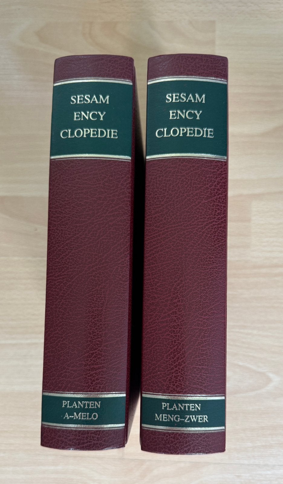Sesam planten encyclopedie, Boeken, Ophalen of Verzenden, Zo goed als nieuw
