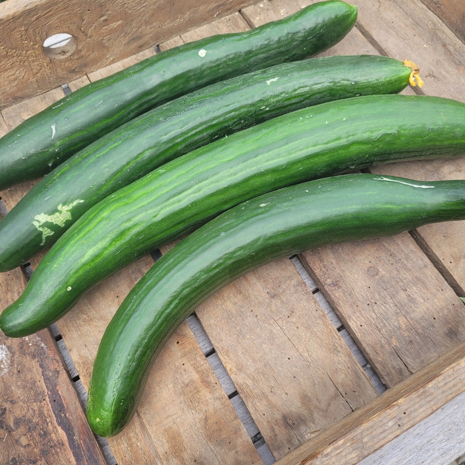 groentjes uit eigen tuin!, Enlèvement
