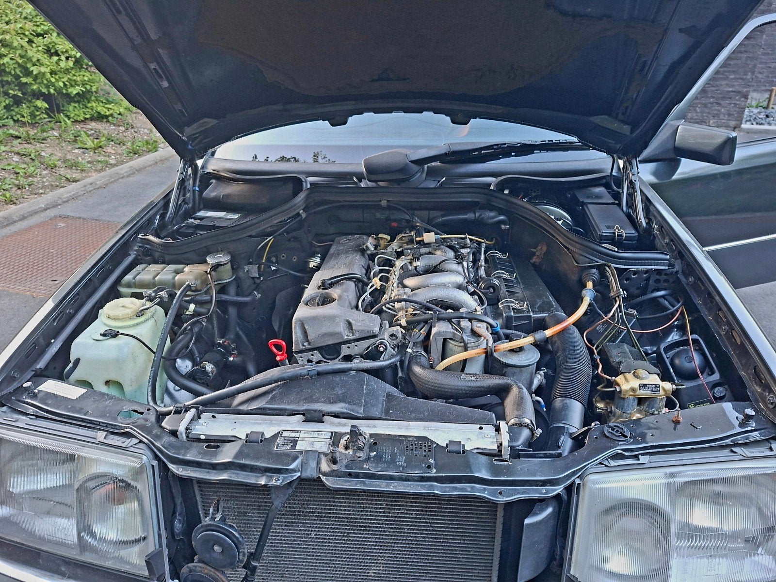 Mercedes-Benz W124 250D uit 1993, foto 10