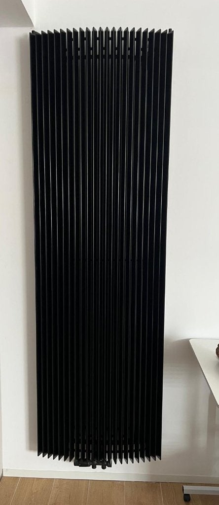 Jaga Iguana designradiatoren – professioneel gerenoveerd, Ophalen, Radiator, Zo goed als nieuw, 60 tot 150 cm