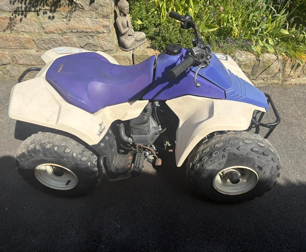 Suzuki Kinderquad van 80 liter, Meer dan 35 kW, 80 cc, 1 cilinder