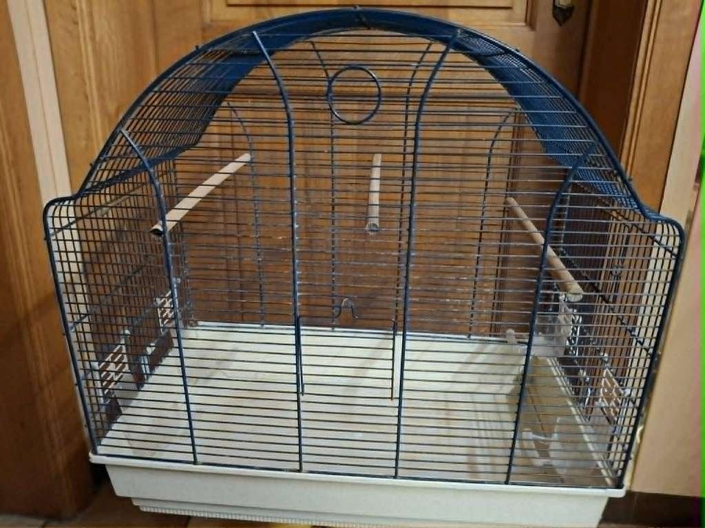 mooie vogelkooi, Dieren en Toebehoren, Vogels | Hokken en Kooien, Ophalen, Vogelkooi