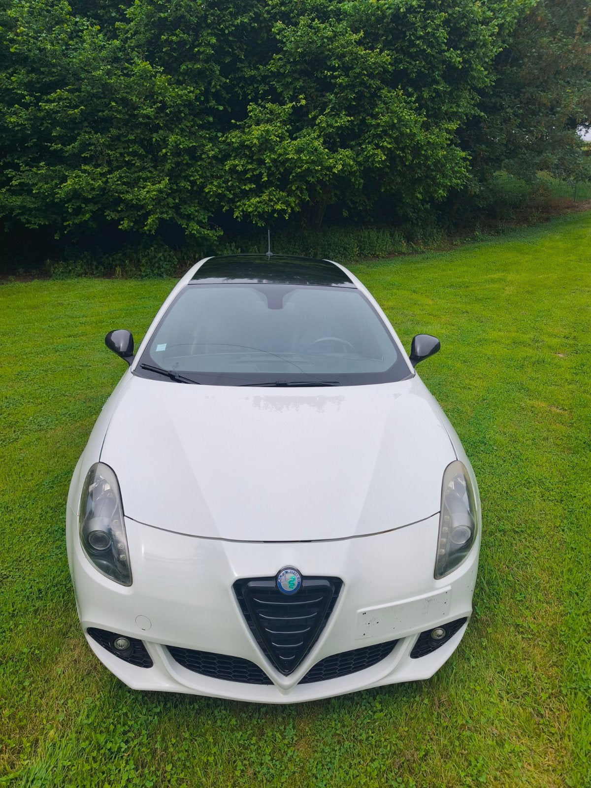 alfa Giulietta 1400 turbo ( e85), Achat, Boîte manuelle, Particulier, 125 kW