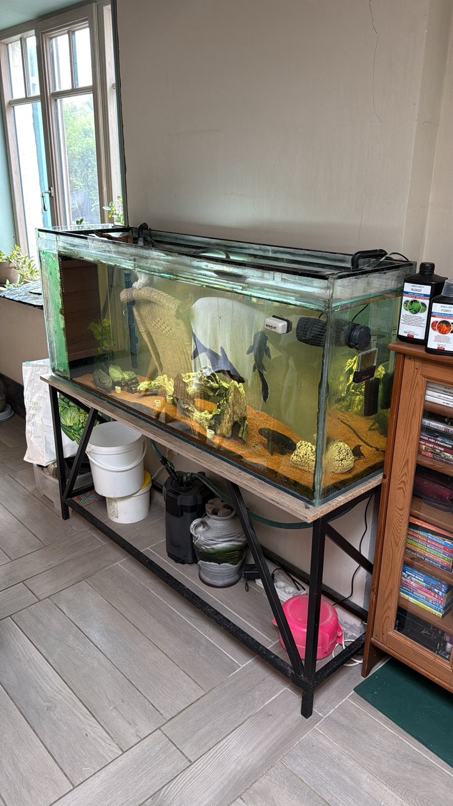 Aquarium avec accessoires, Animaux & Accessoires, Enlèvement, Utilisé