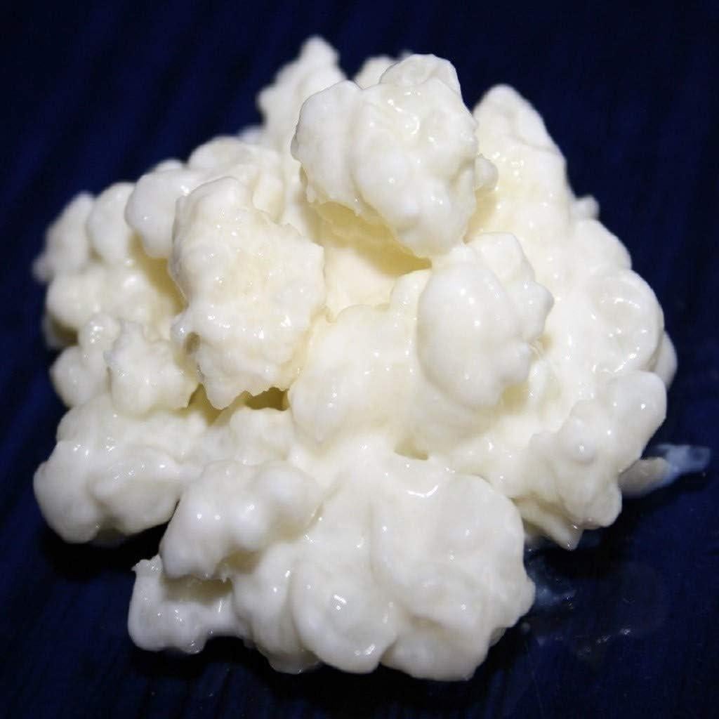 Yoghurtbloemetjes kefir, Ophalen