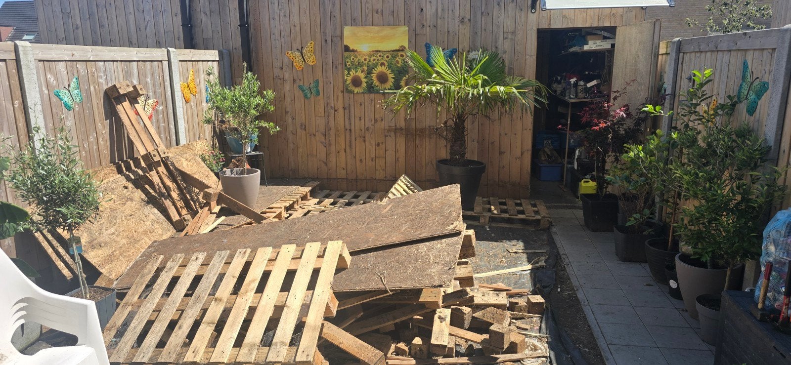 Brandhout  gratis, Tuin en Terras, Brandhout, Ophalen, Blokken