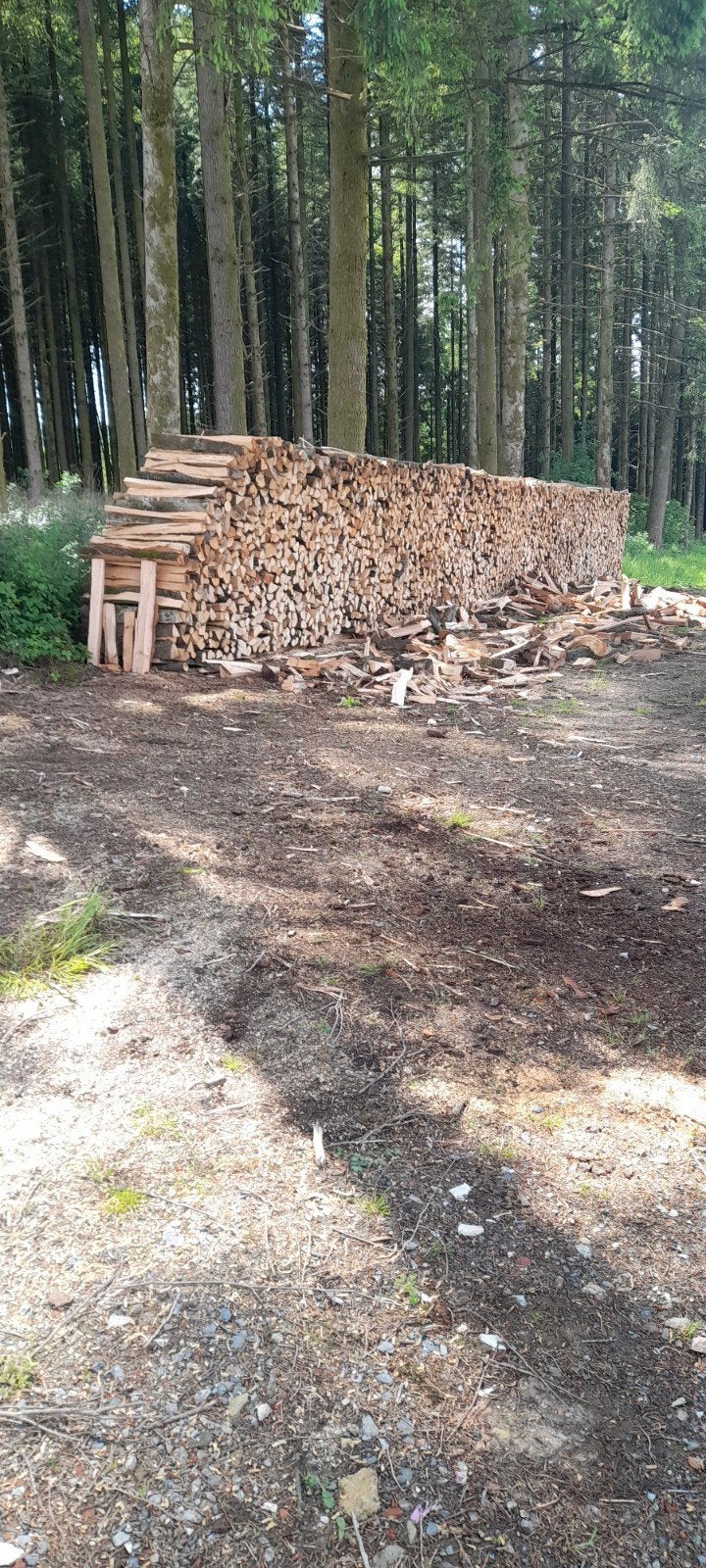 bois de chauffage, Jardin & Terrasse, 6 m³ ou plus, Enlèvement ou Envoi, Hêtre, Bûches