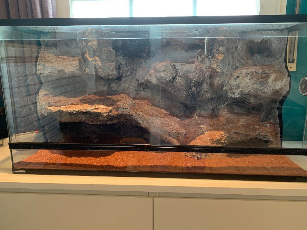 Terrarium, Ophalen, Zo goed als nieuw, Terrarium of Paludarium