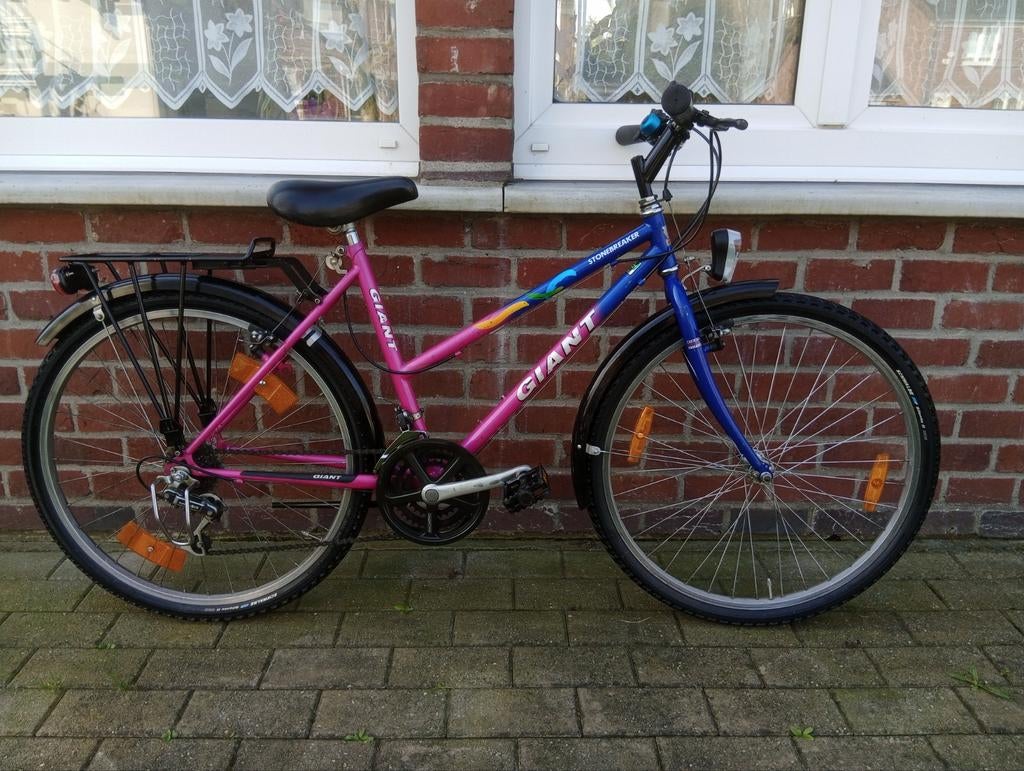 Vélo géant à 18 vitesses pour filles en très bon état, Vitesses, Frein sur jante, 26 pouces ou plus, Giant