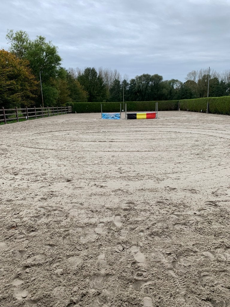 Box te huur, Animaux & Accessoires, Pâturage, 1 cheval ou poney