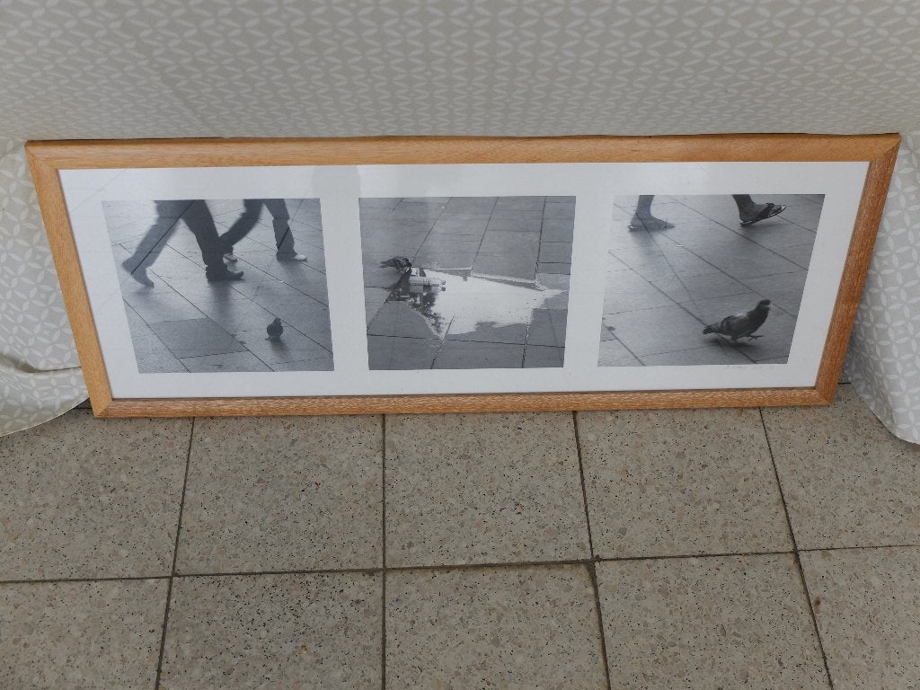 Pigeons (Photo sous cadre) 78x31.5, Antiquités & Art, Enlèvement, Photo, Photographie, Numéroté