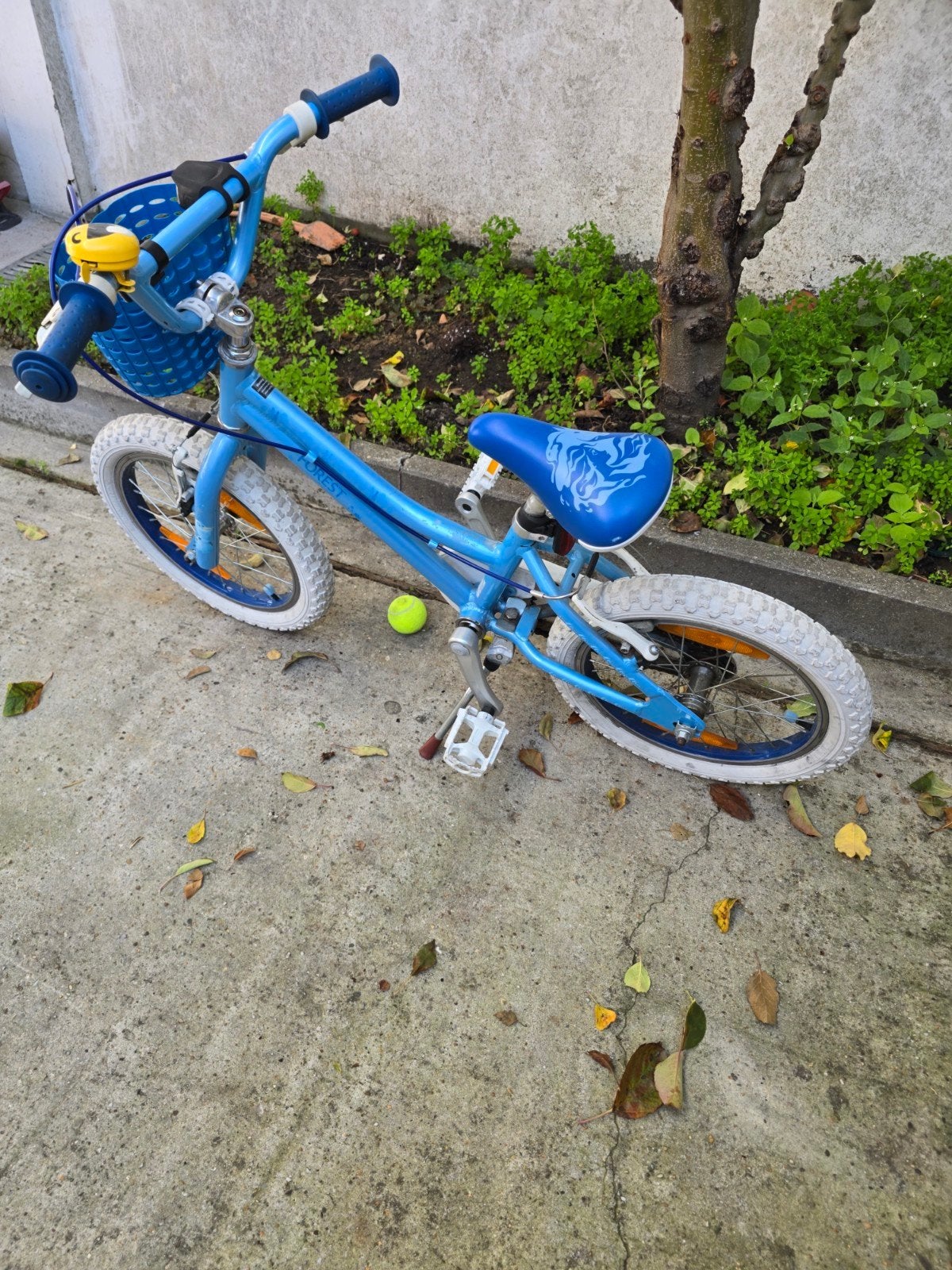 meisjes fiets 18 inch, Fietsen en Brommers, Ophalen, Zijwieltjes, Schijfrem, 16 tot 20 inch