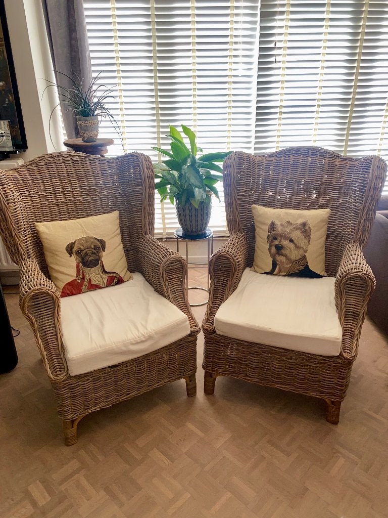 Rieten fauteuil (2), Huis en Inrichting, Fauteuils, Ophalen, Gebruikt, 100 tot 125 cm, Riet of Rotan