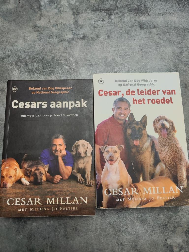 Cesar aanpak  en cesar de leider van het roedel, Boeken, Ophalen