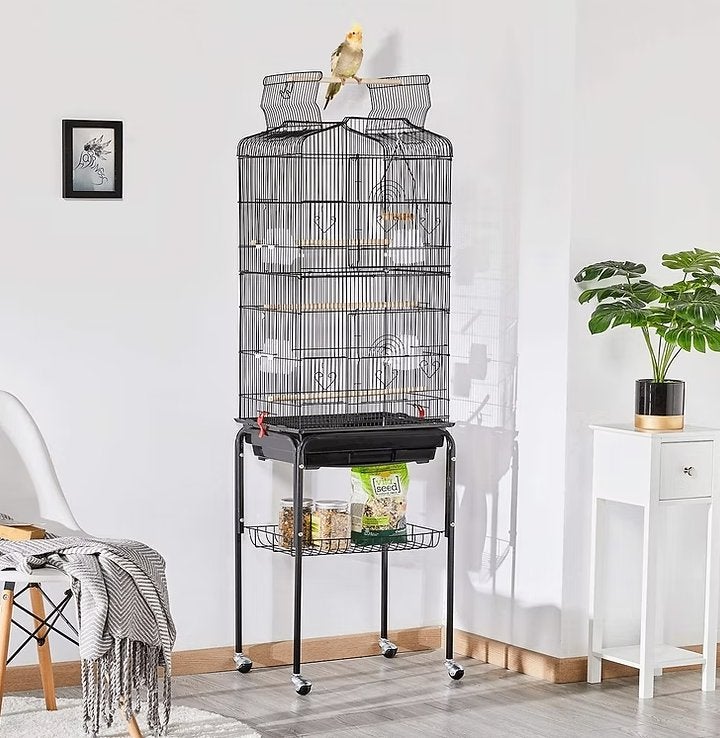 VOGELKOOI NIEUW, Enlèvement, Cage à oiseaux