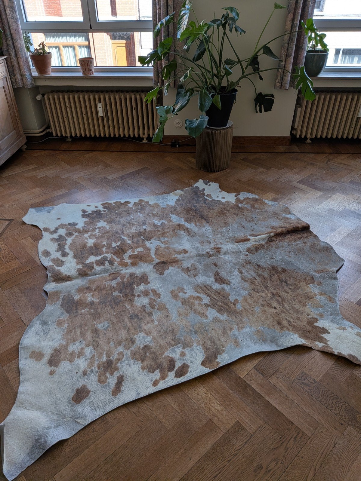 Koeienhuid, Huis en Inrichting, Ophalen
