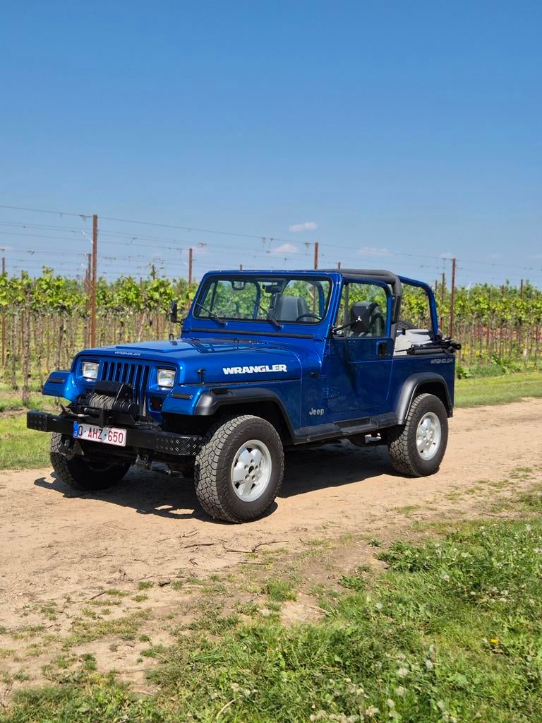 Jeep wrangler 4.0 1993, Auto's, Jeep, 4 zetels, 4000 cc, Blauw, Leder en Stof