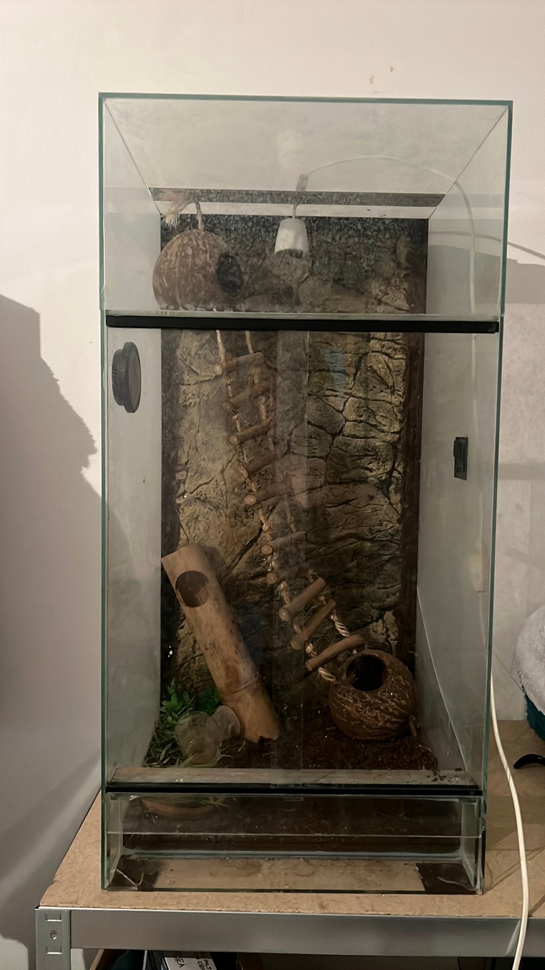 Hoge terrarium met deco en fitting, Dieren en Toebehoren, Ophalen, Zo goed als nieuw