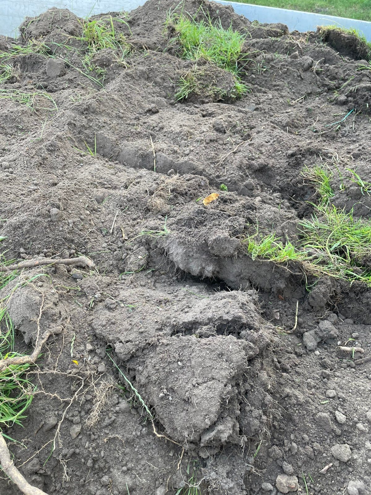 Teelaarde geleverd blankenberge wenduine, Ophalen
