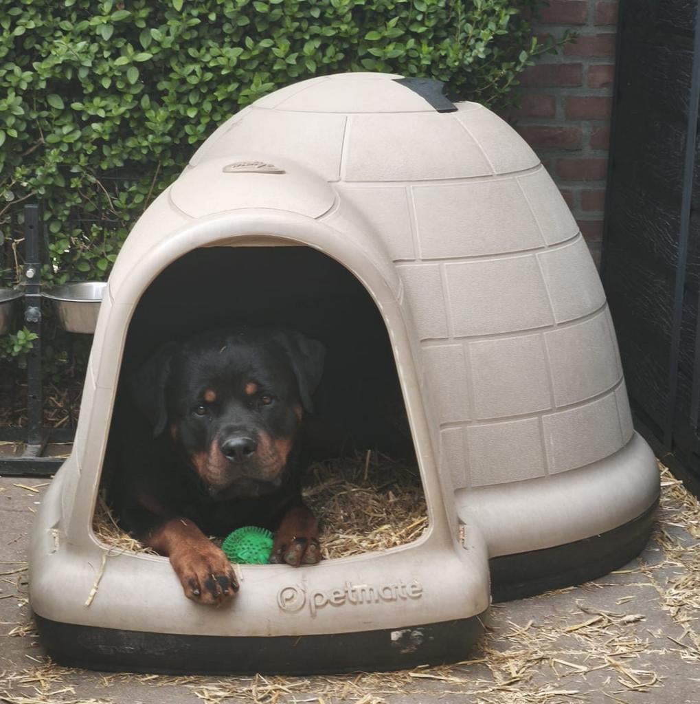 Petmate indigo hondenhok, Ophalen
