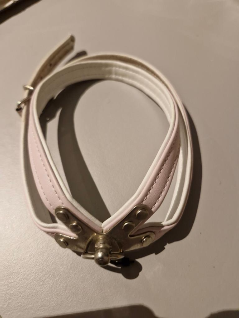 Halsbandje tuigje voor kleine hondjes, Enlèvement