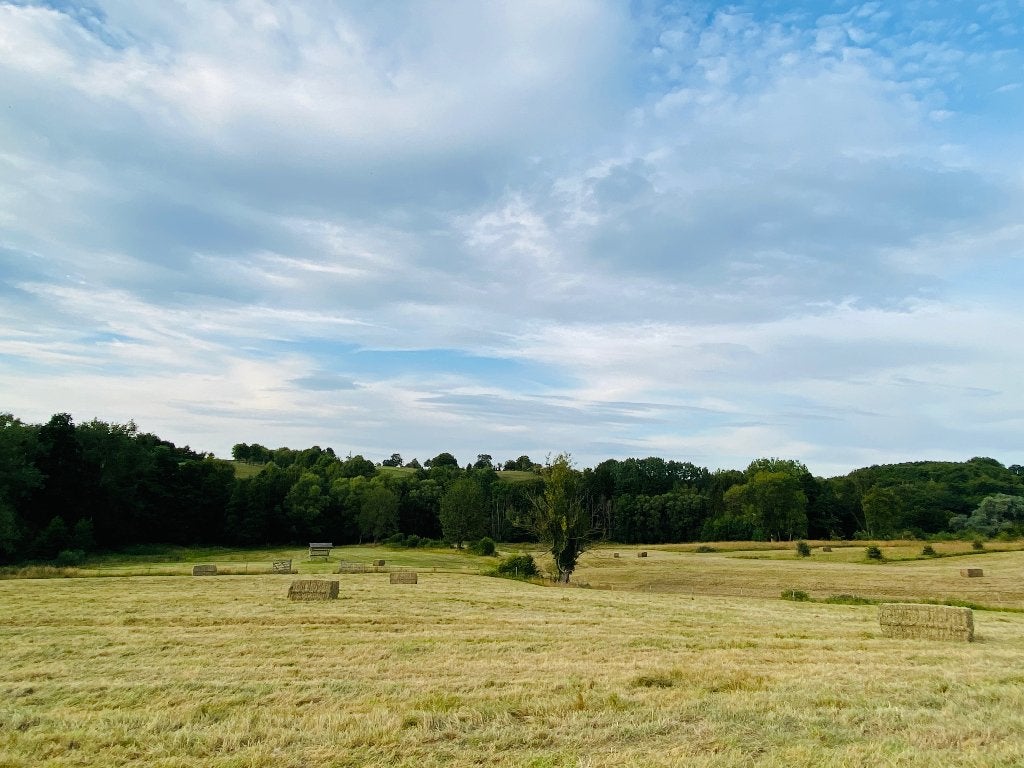 Pension Equine. Prairie 24/7, Animaux & Accessoires