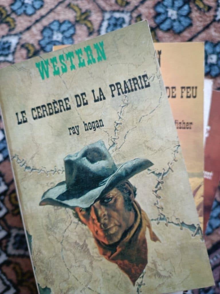 8 livres Collection WESTERN Champs Elysées, Antiquités & Art, Enlèvement, Divers auteurs