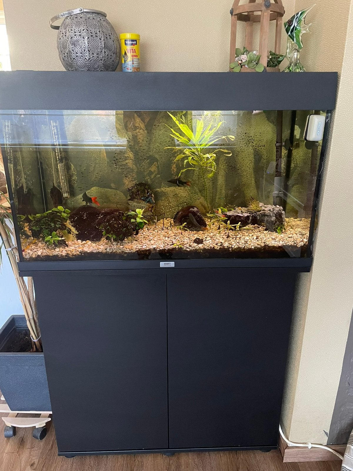 Aquarium met kast en buitenfilter, Dieren en Toebehoren, Ophalen, Zo goed als nieuw, Filter, Juwel