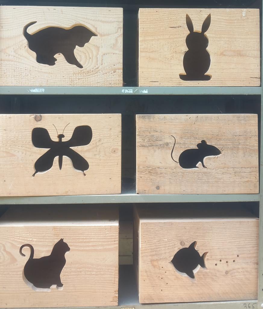 Katten box, Ophalen of Verzenden, Nieuw
